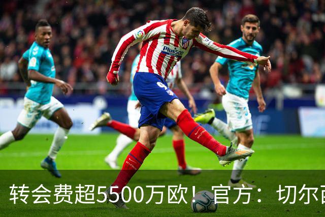 转会费超5500万欧！官方：切尔西签下21岁帕莱斯特拉，签约7年
